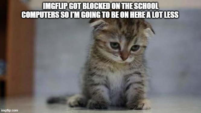 Sad kitten | IMGFLIP GOT BLOCKED ON THE SCHOOL COMPUTERS SO I'M GOING TO BE ON HERE A LOT LESS | image tagged in sad kitten | made w/ Imgflip meme maker