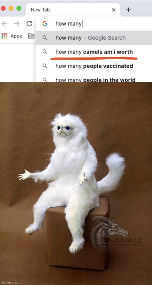 image tagged in memes,persian cat room guardian single | made w/ Imgflip meme maker