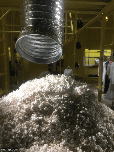 Kenny Kenny pops up in a moo-ckumentary about the production of popcorn kernels. | image tagged in fashion,window design,calvin klein,kenny kenny,popcorn,brian einersen | made w/ Imgflip images-to-gif maker