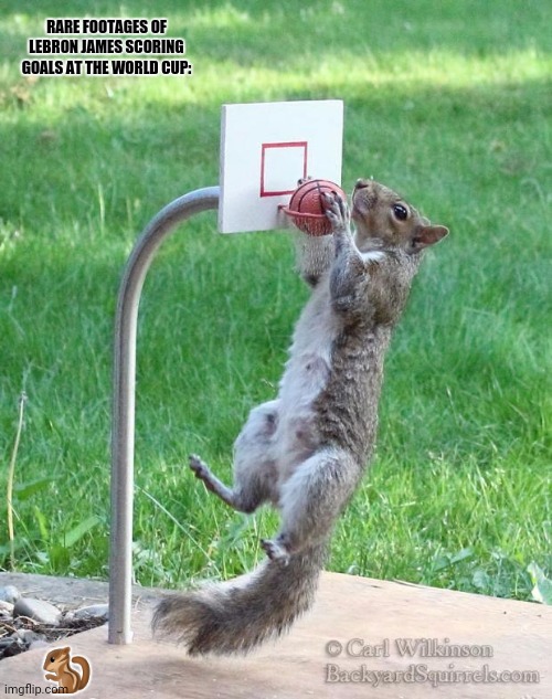 Squirrel basketball | RARE FOOTAGES OF LEBRON JAMES SCORING GOALS AT THE WORLD CUP:; 🐿 | image tagged in memes,lebron james crying,basket | made w/ Imgflip meme maker