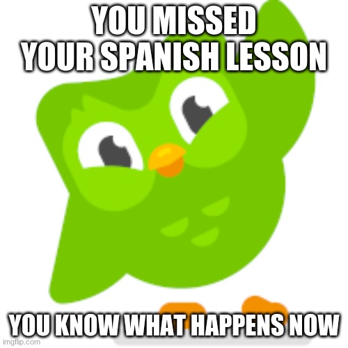 Duolingo memes | YOU MISSED YOUR SPANISH LESSON; YOU KNOW WHAT HAPPENS NOW | image tagged in duolingo memes | made w/ Imgflip meme maker