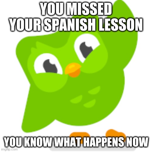 image-tagged-in-duolingo-memes-imgflip