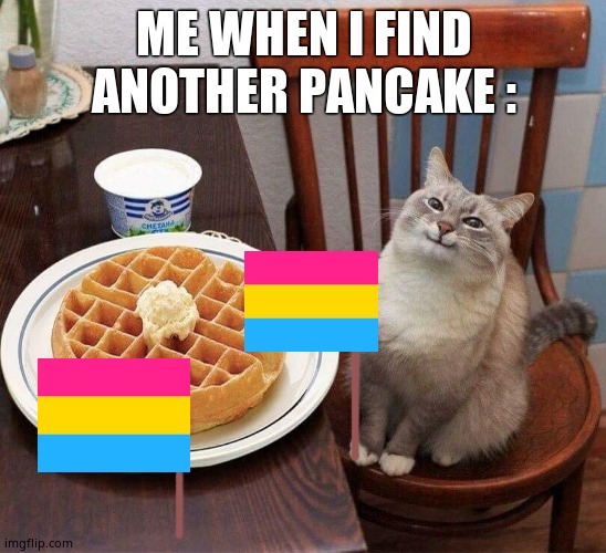 OwO | ME WHEN I FIND ANOTHER PANCAKE : | image tagged in pancake cat | made w/ Imgflip meme maker