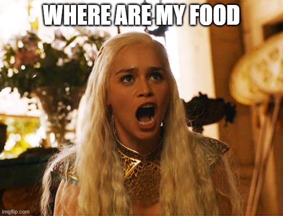 Where are my dragons | WHERE ARE MY FOOD | image tagged in where are my dragons | made w/ Imgflip meme maker