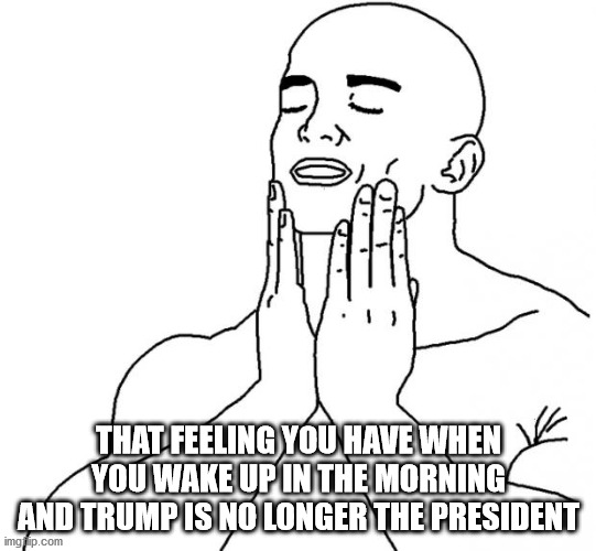 Trump Has Left The Building | THAT FEELING YOU HAVE WHEN YOU WAKE UP IN THE MORNING AND TRUMP IS NO LONGER THE PRESIDENT | image tagged in feels good man | made w/ Imgflip meme maker