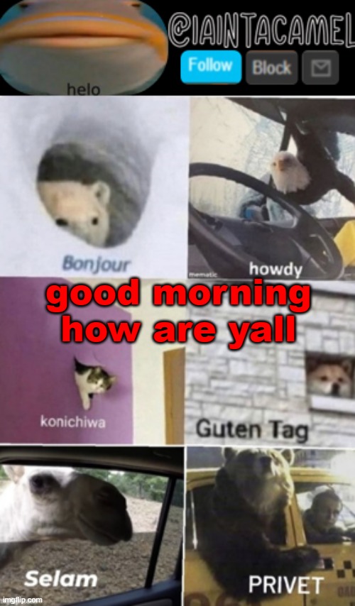iaintacamel | good morning how are yall | image tagged in iaintacamel | made w/ Imgflip meme maker