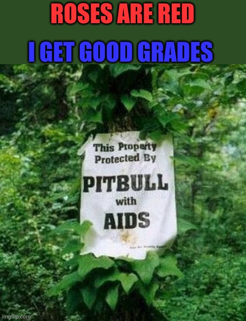 I GET GOOD GRADES; ROSES ARE RED | made w/ Imgflip meme maker