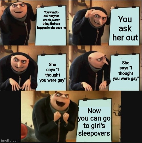 But now my friends won't stop bringing ut up. | You ask her out; You want to ask out your crush, worst thing that can happen is she says no; She says "I thought you were gay"; She says "I thought you were gay"; Now you can go to girl's sleepovers | image tagged in 5 panel gru meme,dankmemes | made w/ Imgflip meme maker