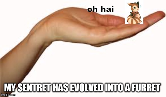 oh hai | MY SENTRET HAS EVOLVED INTO A FURRET | image tagged in oh hai | made w/ Imgflip meme maker
