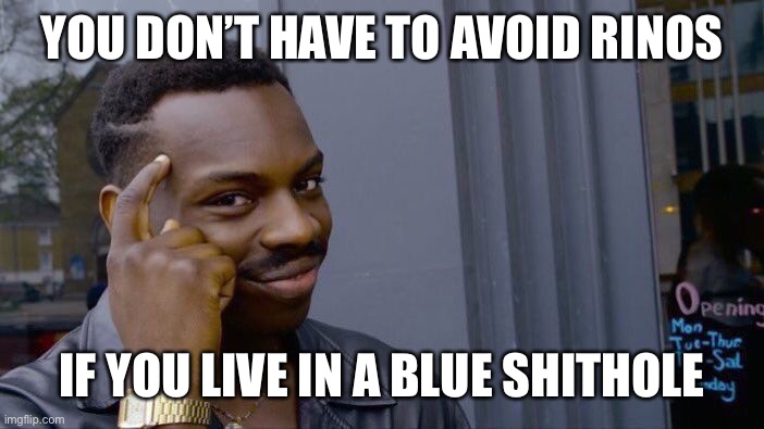 Roll Safe Think About It Meme |  YOU DON’T HAVE TO AVOID RINOS; IF YOU LIVE IN A BLUE SHITHOLE | image tagged in memes,roll safe think about it | made w/ Imgflip meme maker