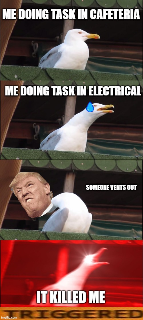 oh no among us | ME DOING TASK IN CAFETERIA; ME DOING TASK IN ELECTRICAL; SOMEONE VENTS OUT; IT KILLED ME | image tagged in memes,inhaling seagull,among us | made w/ Imgflip meme maker