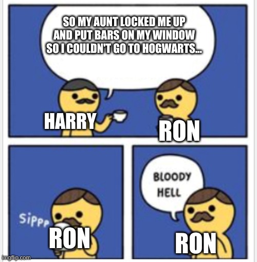 I hAvE No TiTlE IdEa | SO MY AUNT LOCKED ME UP AND PUT BARS ON MY WINDOW SO I COULDN'T GO TO HOGWARTS... HARRY; RON; RON; RON | image tagged in british bloody hell,ron weasley,harry potter,memes | made w/ Imgflip meme maker