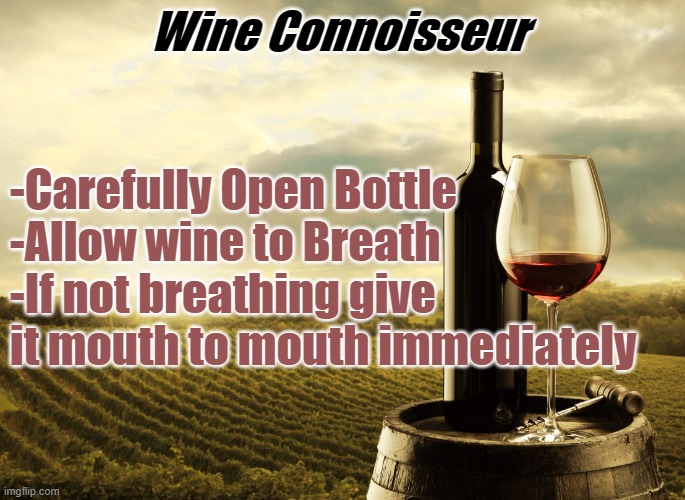 Wine | Wine Connoisseur; -Carefully Open Bottle 
-Allow wine to Breath
-If not breathing give it mouth to mouth immediately | image tagged in wine | made w/ Imgflip meme maker