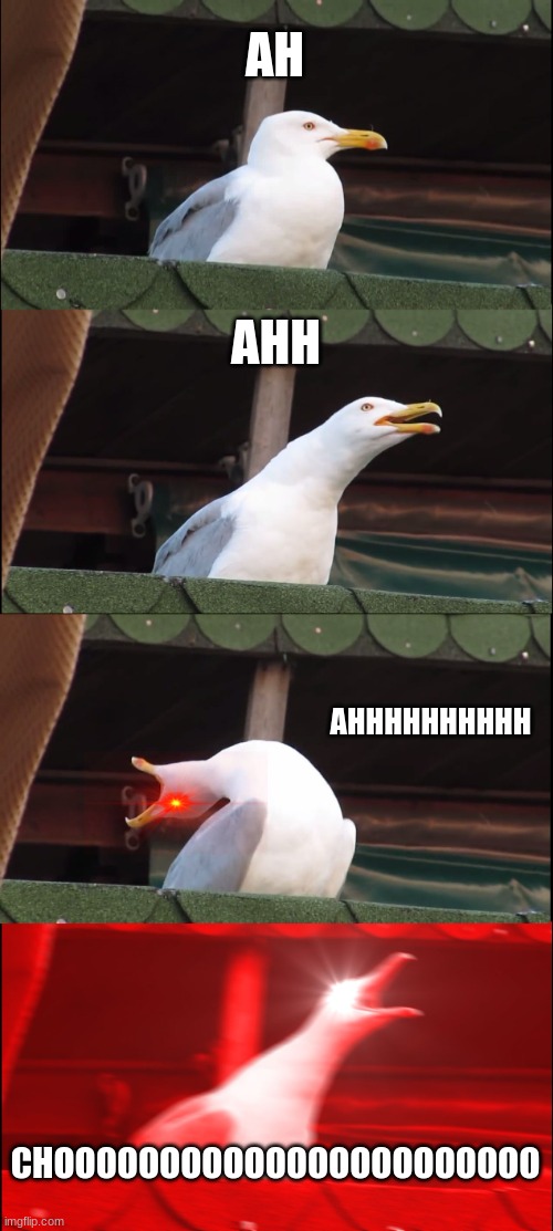Inhaling Seagull Meme | AH; AHH; AHHHHHHHHHH; CHOOOOOOOOOOOOOOOOOOOOOOO | image tagged in memes,inhaling seagull | made w/ Imgflip meme maker