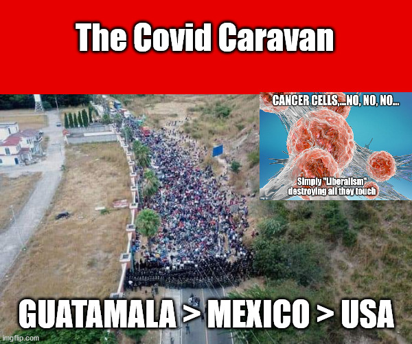 The COVID Caravan | The Covid Caravan; GUATAMALA > MEXICO > USA | image tagged in nwo,biden's covid,election,fraudulent election,fraud | made w/ Imgflip meme maker