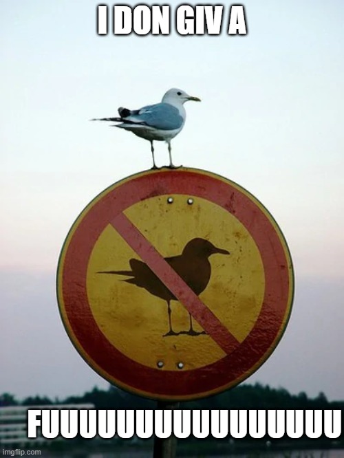Ironic Irony | I DON GIV A; FUUUUUUUUUUUUUUUU | image tagged in pigeon,irony,karma,sign | made w/ Imgflip meme maker