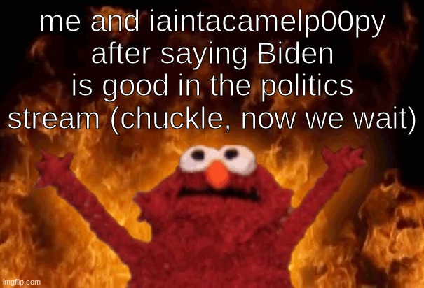 What can I say except we're (or I'm) getting hate | me and iaintacamelp00py after saying Biden is good in the politics stream (chuckle, now we wait) | image tagged in elmo fire | made w/ Imgflip meme maker