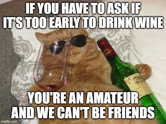 Funny Cat Birthday | IF YOU HAVE TO ASK IF IT'S TOO EARLY TO DRINK WINE; YOU'RE AN AMATEUR AND WE CAN'T BE FRIENDS | image tagged in funny cat birthday | made w/ Imgflip meme maker