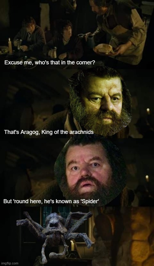 Lord of the Rings, Harry Potter Crossover |  Excuse me, who's that in the corner? That's Aragog, King of the arachnids; But 'round here, he's known as 'Spider' | image tagged in lord of the rings,harry potter,aragon,aragog,strider,hagrid | made w/ Imgflip meme maker