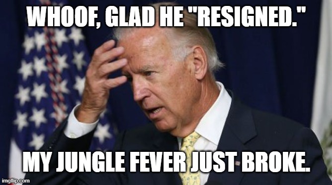 Joe Biden worries | WHOOF, GLAD HE "RESIGNED." MY JUNGLE FEVER JUST BROKE. | image tagged in joe biden worries | made w/ Imgflip meme maker