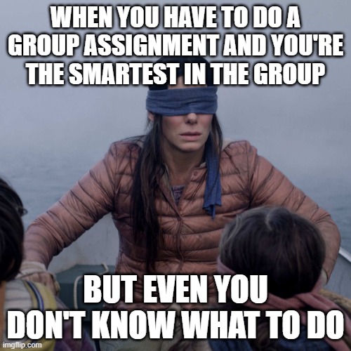 Bird Box Meme |  WHEN YOU HAVE TO DO A GROUP ASSIGNMENT AND YOU'RE THE SMARTEST IN THE GROUP; BUT EVEN YOU DON'T KNOW WHAT TO DO | image tagged in memes,bird box,school,relatable | made w/ Imgflip meme maker