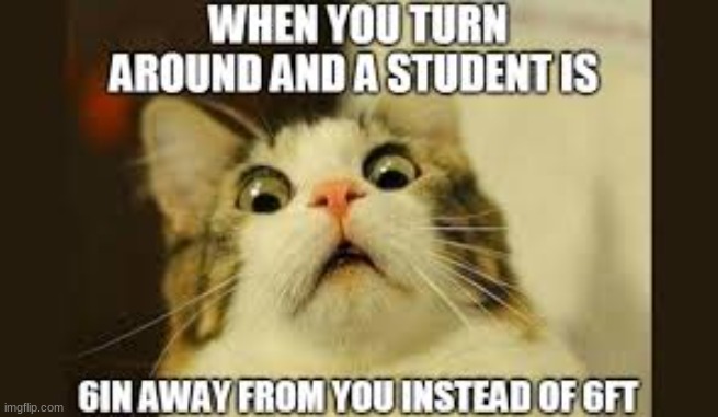 hehe yeah | image tagged in cats,animals,memes,funny,funny memes,covid-19 | made w/ Imgflip meme maker