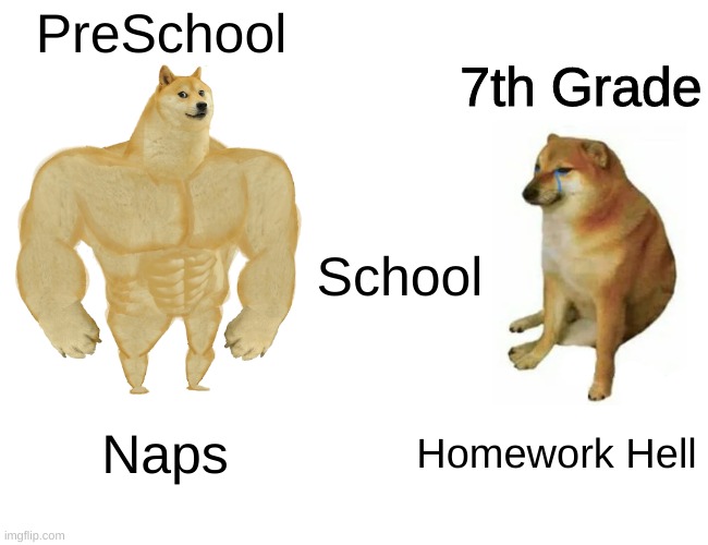 true | PreSchool; 7th Grade; School; Naps; Homework Hell | image tagged in memes,buff doge vs cheems | made w/ Imgflip meme maker