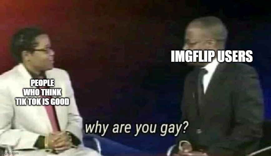 Why are you gay? | IMGFLIP USERS; PEOPLE WHO THINK TIK TOK IS GOOD | image tagged in why are you gay | made w/ Imgflip meme maker