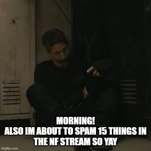 NF_FAN | MORNING!

ALSO IM ABOUT TO SPAM 15 THINGS IN THE NF STREAM SO YAY | image tagged in nf_fan | made w/ Imgflip meme maker