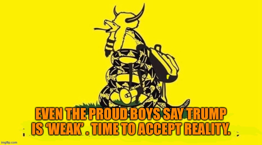 EVEN THE PROUD BOYS SAY TRUMP IS ‘WEAK’ . TIME TO ACCEPT REALITY. | made w/ Imgflip meme maker