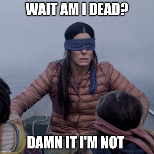 Bird Box | WAIT AM I DEAD? DAMN IT I'M NOT | image tagged in memes,bird box | made w/ Imgflip meme maker