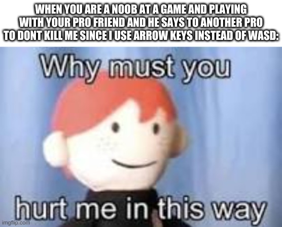 just because i use arrow keys doesnt mean im disabled | WHEN YOU ARE A NOOB AT A GAME AND PLAYING WITH YOUR PRO FRIEND AND HE SAYS TO ANOTHER PRO TO DONT KILL ME SINCE I USE ARROW KEYS INSTEAD OF WASD: | image tagged in memes,funny,why must you hurt me in this way,gaming,bruh | made w/ Imgflip meme maker