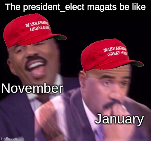 who's "pretending" now? | The president_elect magats be like; November; January | image tagged in steve harvey laughing serious,memes,funny,election 2020 | made w/ Imgflip meme maker