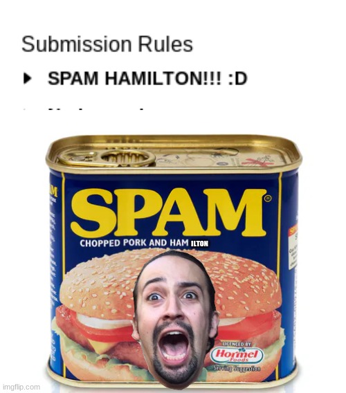 chopped pork and hamilton | ILTON | image tagged in spam,hamilton | made w/ Imgflip meme maker