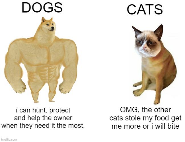 DOGZ VS CATZ | DOGS; CATS; i can hunt, protect and help the owner when they need it the most. OMG, the other cats stole my food get me more or i will bite | image tagged in memes,buff doge vs cheems | made w/ Imgflip meme maker