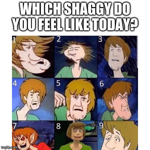 WHICH SHAGGY DO YOU FEEL LIKE TODAY? | made w/ Imgflip meme maker