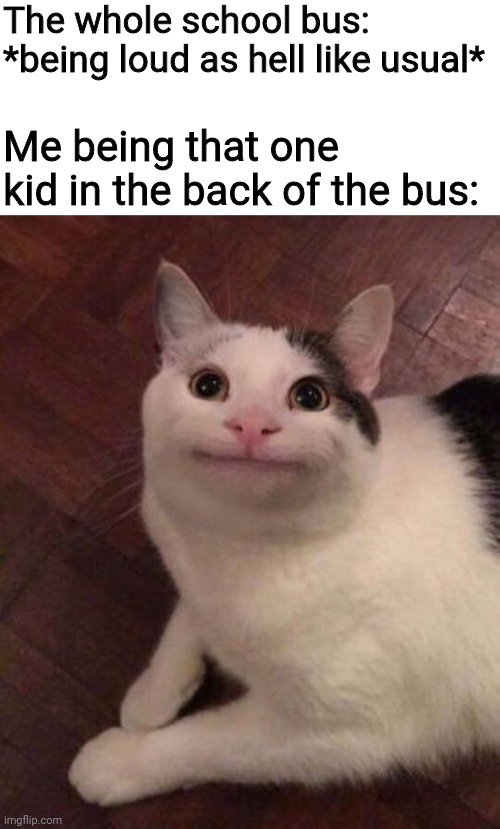 Can not come up with title | The whole school bus: *being loud as hell like usual*; Me being that one kid in the back of the bus: | image tagged in imgflip,memes,fun,cats,school | made w/ Imgflip meme maker