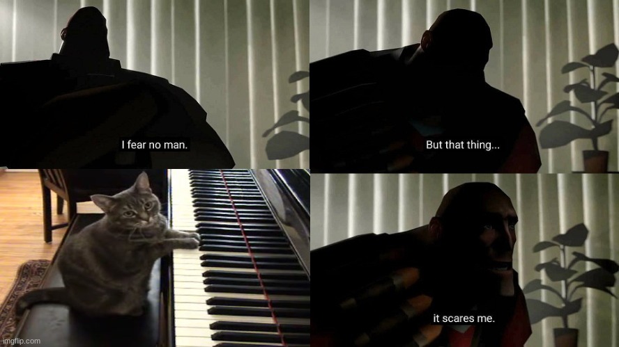 I fear no man but that cat! | image tagged in i fear no man,but,kitty cat,playing,piano | made w/ Imgflip meme maker