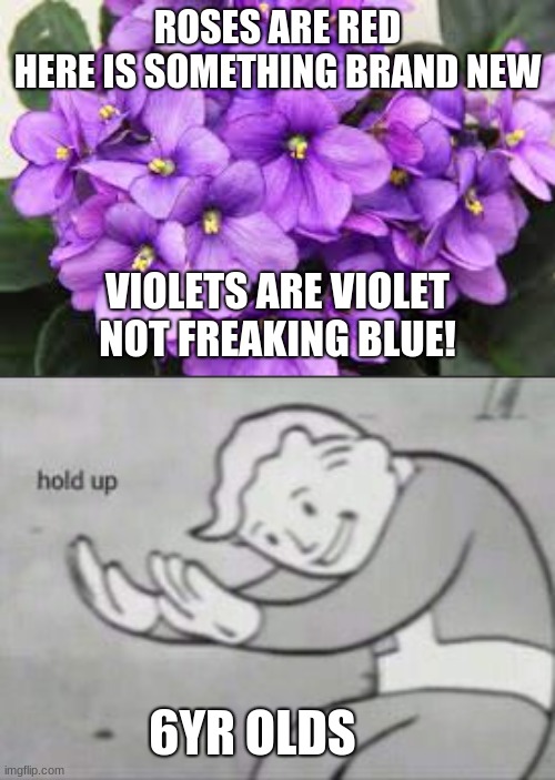 Violets are violet | ROSES ARE RED
HERE IS SOMETHING BRAND NEW; VIOLETS ARE VIOLET
NOT FREAKING BLUE! 6YR OLDS | image tagged in violets,fallout hold up,not blue | made w/ Imgflip meme maker