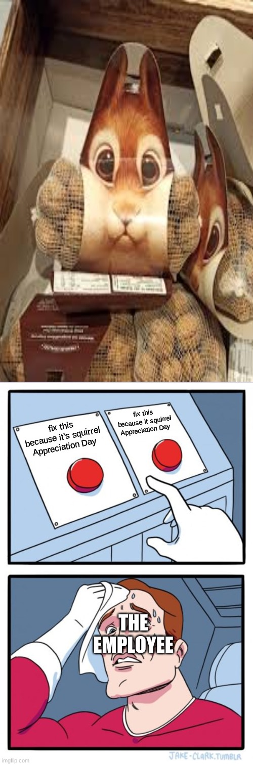 Idon'tevenknowwhyiexistanymorepleasehelpme | fix this because it squirrel Appreciation Day; fix this because it's squirrel Appreciation Day; THE EMPLOYEE | image tagged in memes,two buttons | made w/ Imgflip meme maker