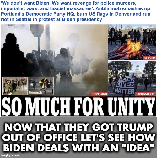 It's just an "idea" - Brown Shirts going rogue. | NOW THAT THEY GOT TRUMP
OUT OF OFFICE LET'S SEE HOW
BIDEN DEALS WITH AN "IDEA" | image tagged in joe biden,antifa,unity | made w/ Imgflip meme maker