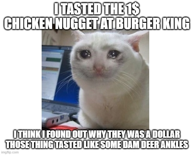 cry | I TASTED THE 1$ CHICKEN NUGGET AT BURGER KING; I THINK I FOUND OUT WHY THEY WAS A DOLLAR THOSE THING TASTED LIKE SOME DAM DEER ANKLES | image tagged in idk | made w/ Imgflip meme maker