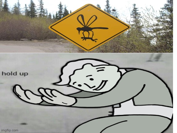 What does that sign even mean? | image tagged in fallout hold up,weird | made w/ Imgflip meme maker