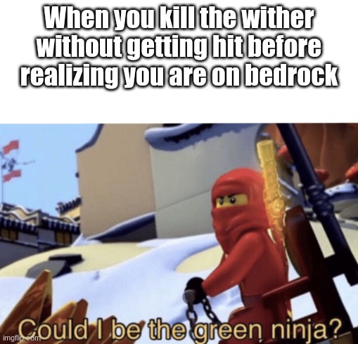 Could I Be The Green Ninja? | When you kill the wither without getting hit before realizing you are on bedrock | image tagged in could i be the green ninja | made w/ Imgflip meme maker