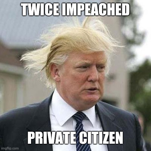 Mr. Nobody | TWICE IMPEACHED; PRIVATE CITIZEN | image tagged in donald trump is an idiot,donald trumph hair | made w/ Imgflip meme maker