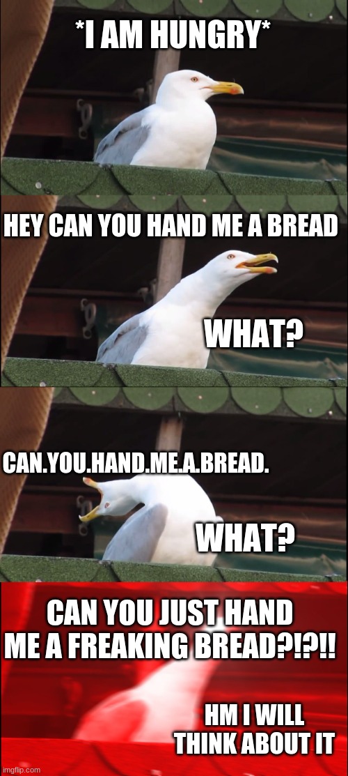 Hangry Bird | *I AM HUNGRY*; HEY CAN YOU HAND ME A BREAD; WHAT? CAN.YOU.HAND.ME.A.BREAD. WHAT? CAN YOU JUST HAND ME A FREAKING BREAD?!?!! HM I WILL THINK ABOUT IT | image tagged in memes,inhaling seagull | made w/ Imgflip meme maker
