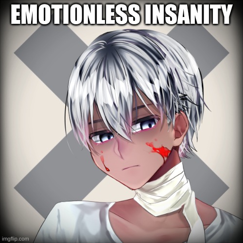 EMOTIONLESS INSANITY | made w/ Imgflip meme maker