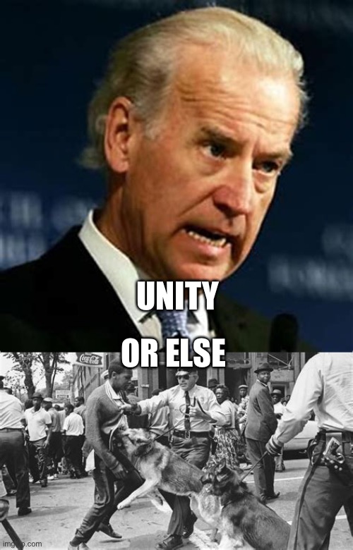 Democratic playbook hasn’t changed | UNITY; OR ELSE | image tagged in angry joe,unity,censorship | made w/ Imgflip meme maker
