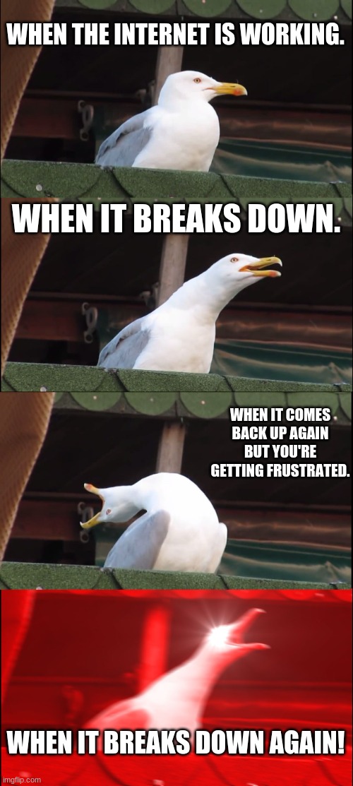 Internet problems | WHEN THE INTERNET IS WORKING. WHEN IT BREAKS DOWN. WHEN IT COMES BACK UP AGAIN BUT YOU'RE GETTING FRUSTRATED. WHEN IT BREAKS DOWN AGAIN! | image tagged in memes,inhaling seagull | made w/ Imgflip meme maker