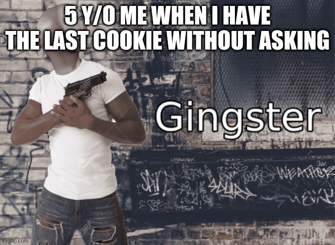 Gingster | 5 Y/O ME WHEN I HAVE THE LAST COOKIE WITHOUT ASKING | image tagged in gingster | made w/ Imgflip meme maker